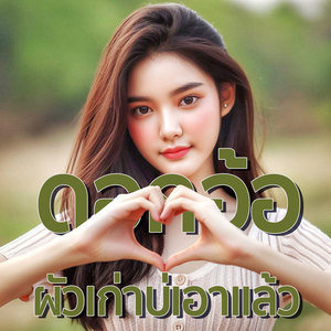 ผัวเก่าบ่เอาแล้ว