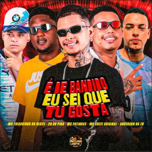 É De Bandido Eu Sei Que Tu Gosta (Explicit)