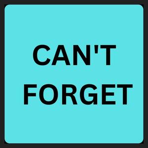 Can't Forget (Explicit)