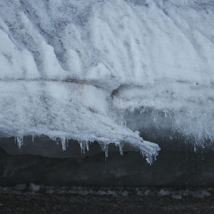 La Marcha Del Liquen