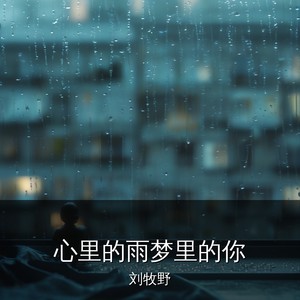 心里的雨梦里的你封面