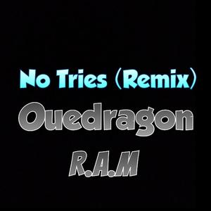 No Tries (feat. R.A.M) [Remix] [Explicit]