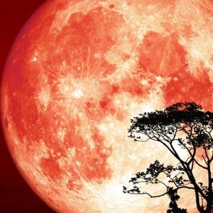 Trance (hunters moon) (Explicit)