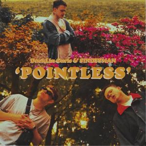 POINTLESS (feat. SINDYSMAN) (Explicit)