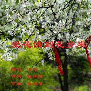 爱花请到花乡来