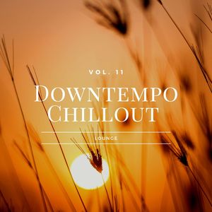 Downtempo Chillout Lounge, Vol.11