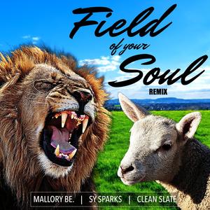 Field of Your Soul (feat. Sy Sparks & Clean Slate|Remix)