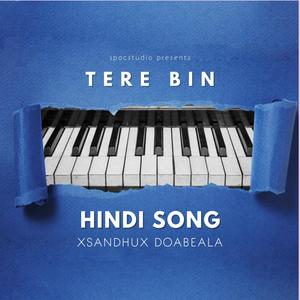 Tere bin (hindi viral song) [Explicit]