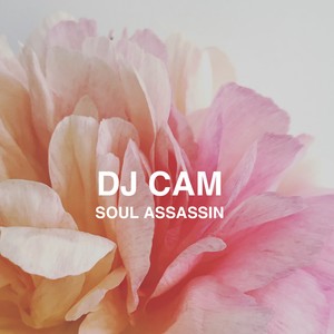 DJ Cam - Soul Assassin, Pt. 2