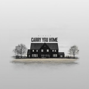 Carry You Home