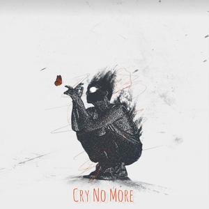 Cry No More (feat. Salty MC) (Explicit)