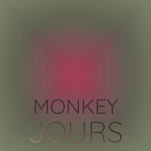 Monkey Jours