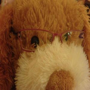 apple vision (Explicit)