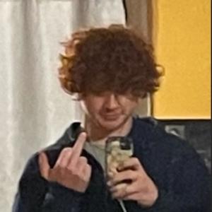 the wise fool (Explicit)