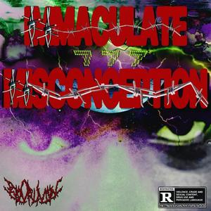 Immaculate Misconception (Explicit)