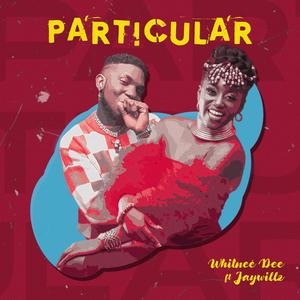 Particular (feat. Jaywillz)