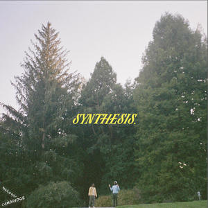 Synthesis (feat. iso) (Explicit)