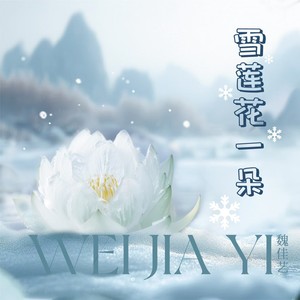 雪莲花一朵 (DJ默涵版)封面