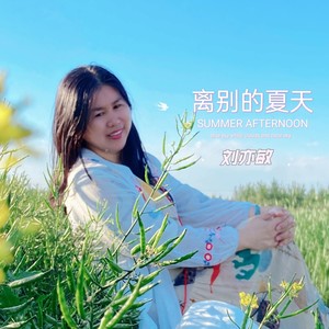 离别的夏天