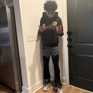 shrek (feat. rexv2) (Explicit)