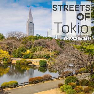 Streets of - Tokio, Vol. 3 (Smooth Electronic Sound For Relaxing, Chill Out And Background Music)