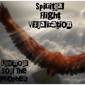 Spiritual Flight Visualization