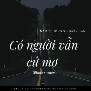 Có Người Vẫn Cứ Mơ (Slowed + Reverb) (feat. Nam Phương & Homies Studio)