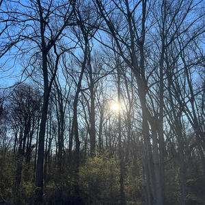 The jacksons (feat. Chef Ray) (Explicit)