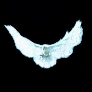 bumpthatcheatinggirl