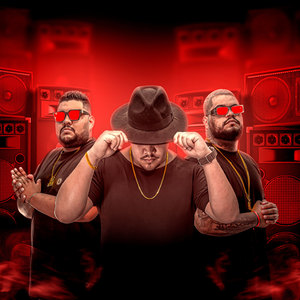 Vou Te Botar vs. Bota Em Mim (MC Lh, MC Vick, MC DL) (Explicit)