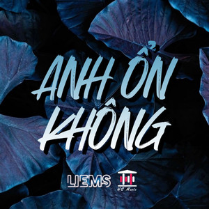 Anh Ổn Không (HC Music x Thịnh Gia Remix)