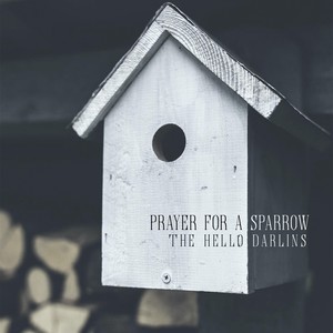 Prayer for a Sparrow