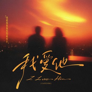 我爱他(我爱他轰轰烈烈最疯狂)