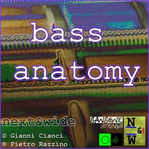 Bass anatomy