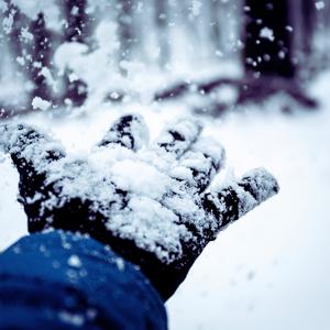 Snowfall (Explicit)