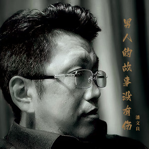 潘文良 - 男人的故事没有伤