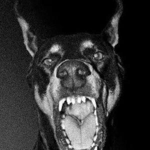 DIAMONDS IN THE AIR (feat. Cloudly) (Explicit)