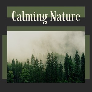 Calming Nature