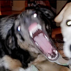 Dark Knight (feat. Ab400) (Explicit)