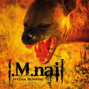 Hyena Sunrise