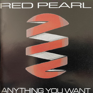 Anything You Want (Explicit)