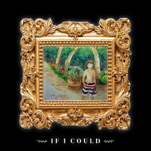 If I Could