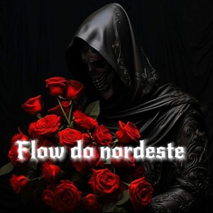 Flow Do Nordeste