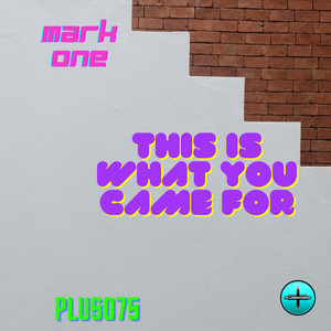 This Is What You Came For (Radio Edit)