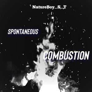 Spontaneous Combustion (Explicit)