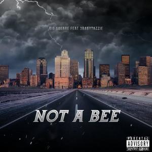 NOT A BEE (feat. 3babytazzie) (Explicit)