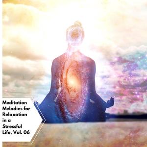 Meditation Melodies For Relaxation In A Stressful Life, Vol. 06