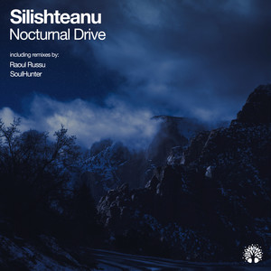 Nocturnal Drive