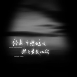 给我一个理由忘记