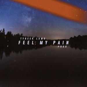 Feel my Pain(feat. Puko) (Explicit)